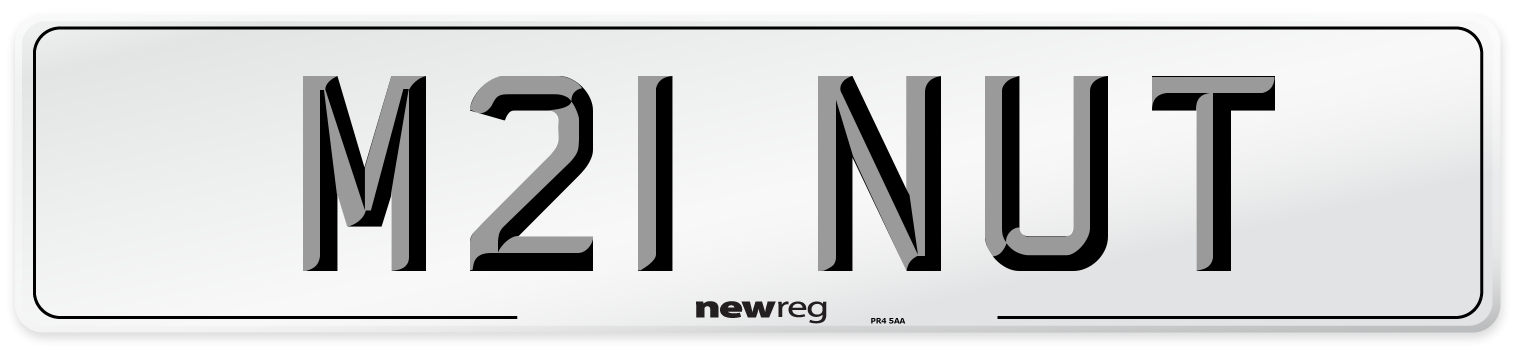 M21 NUT Number Plate from New Reg